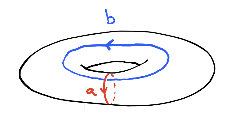 Comparing the two cycles that generate the first homology and fundamental groups.