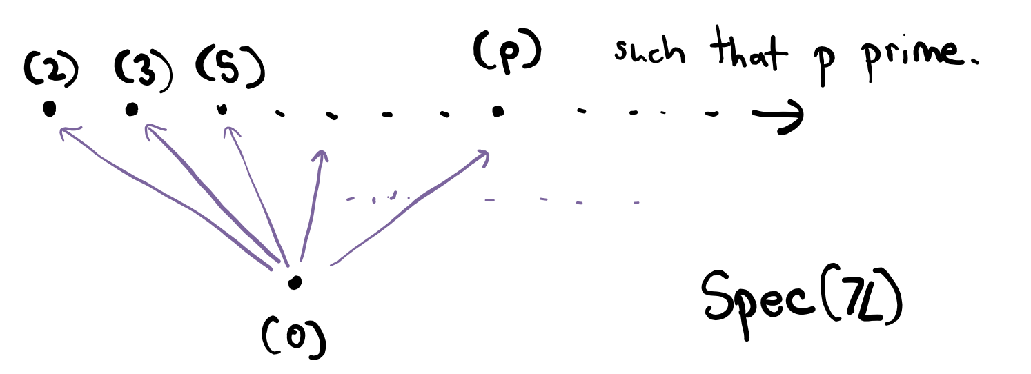 Figure 2. The Hasse diagram of $\mathop{\mathrm{Spec}}(\mathbb{Z})$.